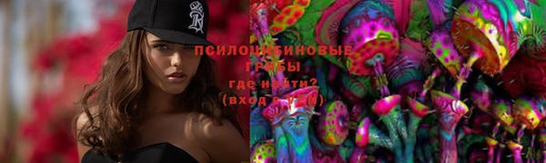 ПСИЛОЦИБИНОВЫЕ ГРИБЫ Абдулино
