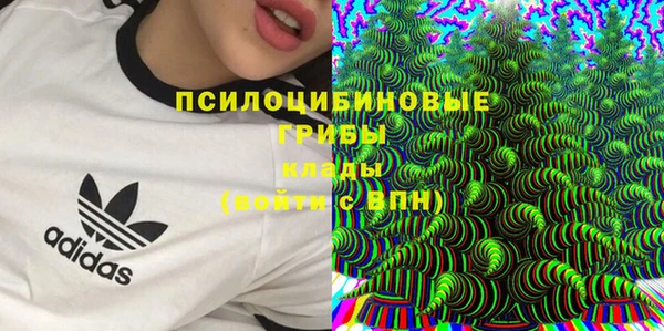 ECSTASY Нязепетровск