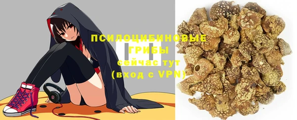 марки lsd Абаза